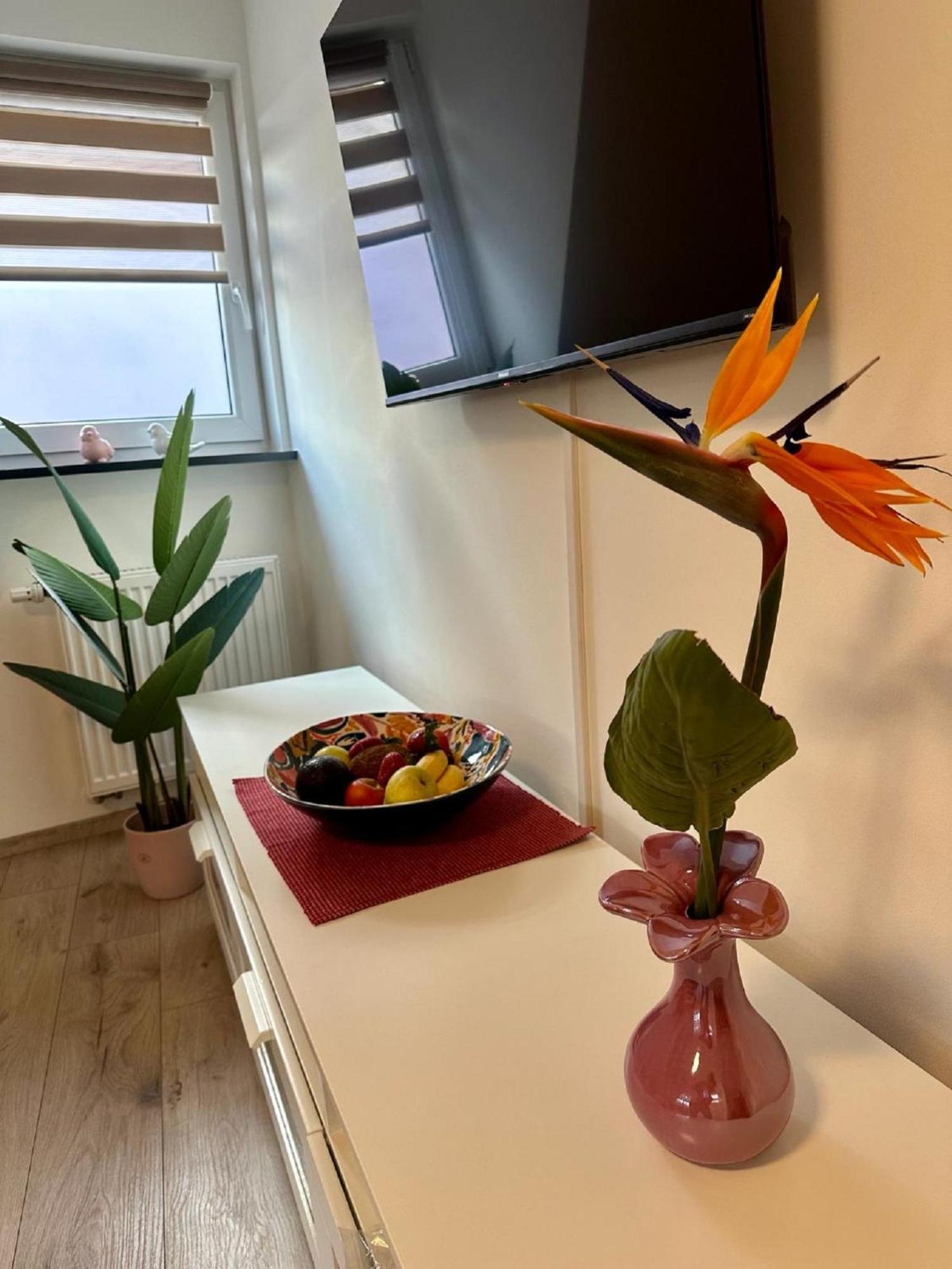 באד קוניגסהופן אים גראבפלד Ferienwohnungen Goja מראה חיצוני תמונה